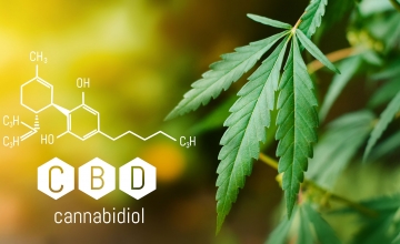 CBD olej a jeho benefity