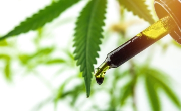 Jak CBD funguje? Vliv CBD na naše zdraví
