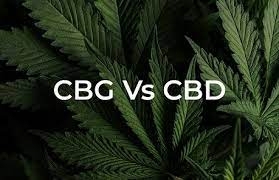 Jaký je rozdíl mezi CBD a CBG?