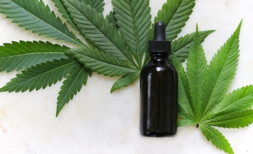 Vše o CBD a jeho účincích na lidský organismus